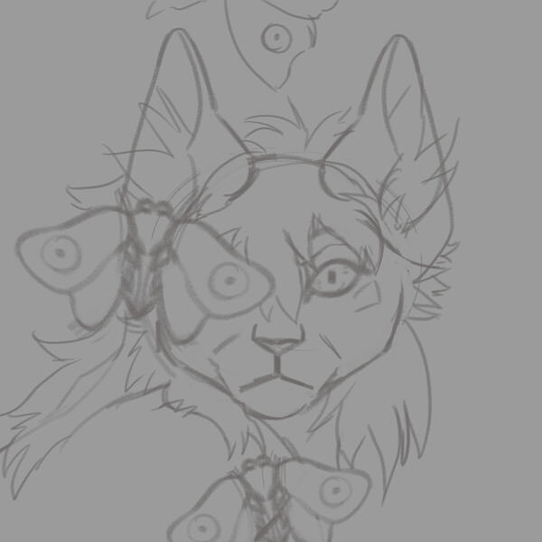 Sketches